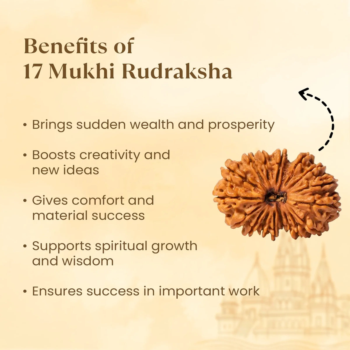 Rameshwaram Siddh Nepal Origin 17 Mukhi Rudraksha - 17mm¬†to¬†22mm | VastuKosha by Acharya Anuj