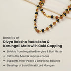 Divya Raksha Rudraksha & Karungali Mala with Gold Capping | VastuKosha by Acharya Anuj