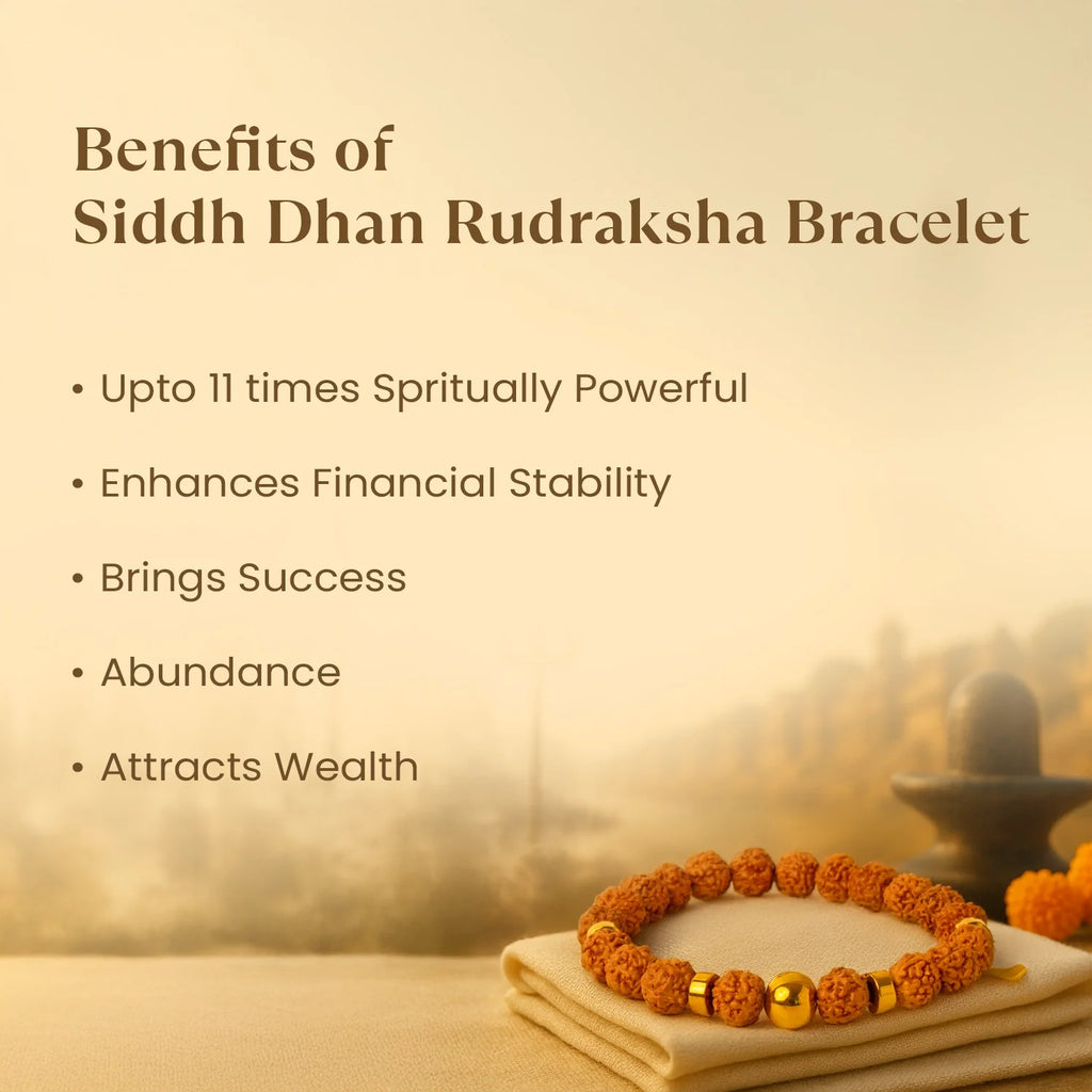 Rameshwaram Siddh Dhan Rudraksha Bracelet | VastuKosha by Acharya Anuj