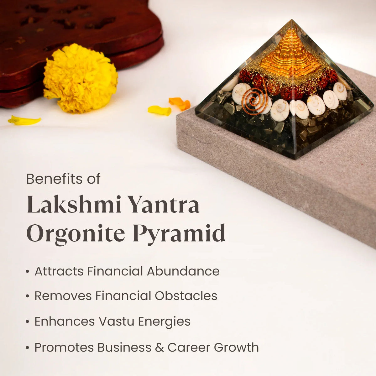 Rishikesh  Siddh Lakshmi Yantra Pyramid | VastuKosha by Acharya Anuj