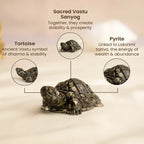 Vastu Pyrite Tortoise Combo ‚Äì Small Kachhua with Big Kachhua | VastuKosha by Acharya Anuj