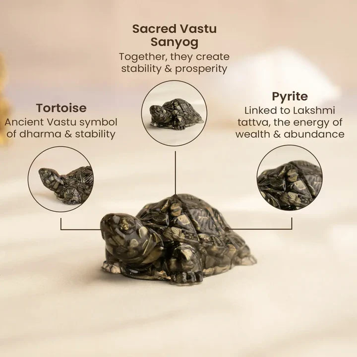 Vastu Pyrite Tortoise Combo ‚Äì Small Kachhua with Big Kachhua | VastuKosha by Acharya Anuj