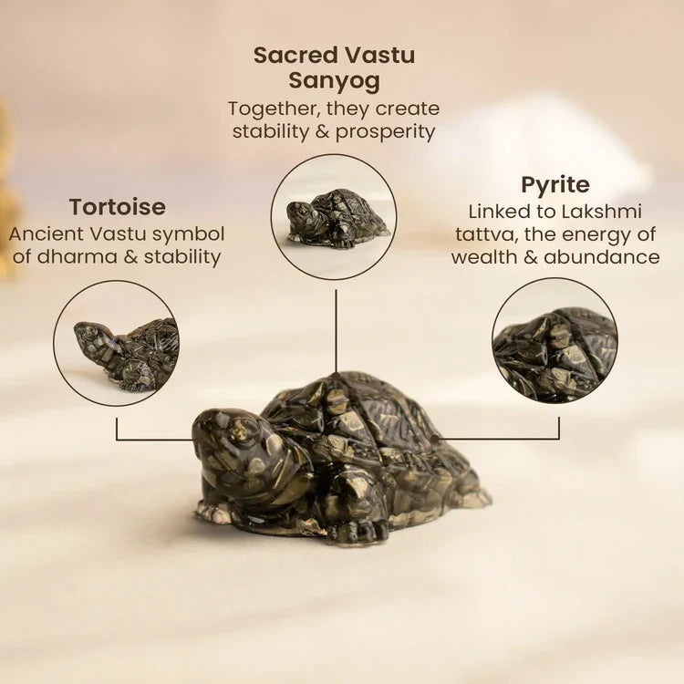 Vastu Pyrite Tortoise with Free Square Raw Selenite Plate  | VastuKosha by Acharya Anuj