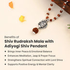 Rishikesh Siddh Shiv Rudraksha Mala with Adiyogi Shiv Pendant | VastuKosha by Acharya Anuj