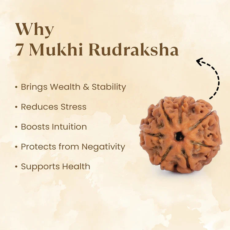 7 Mukhi Rudraksha Combo | VastuKosha by Acharya Anuj