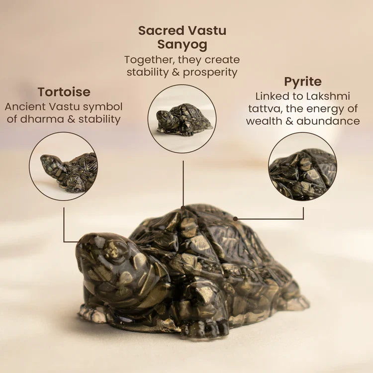 Vastu Pyrite Tortoise Combo ‚Äì Small Kachhua with Big Kachhua | VastuKosha by Acharya Anuj