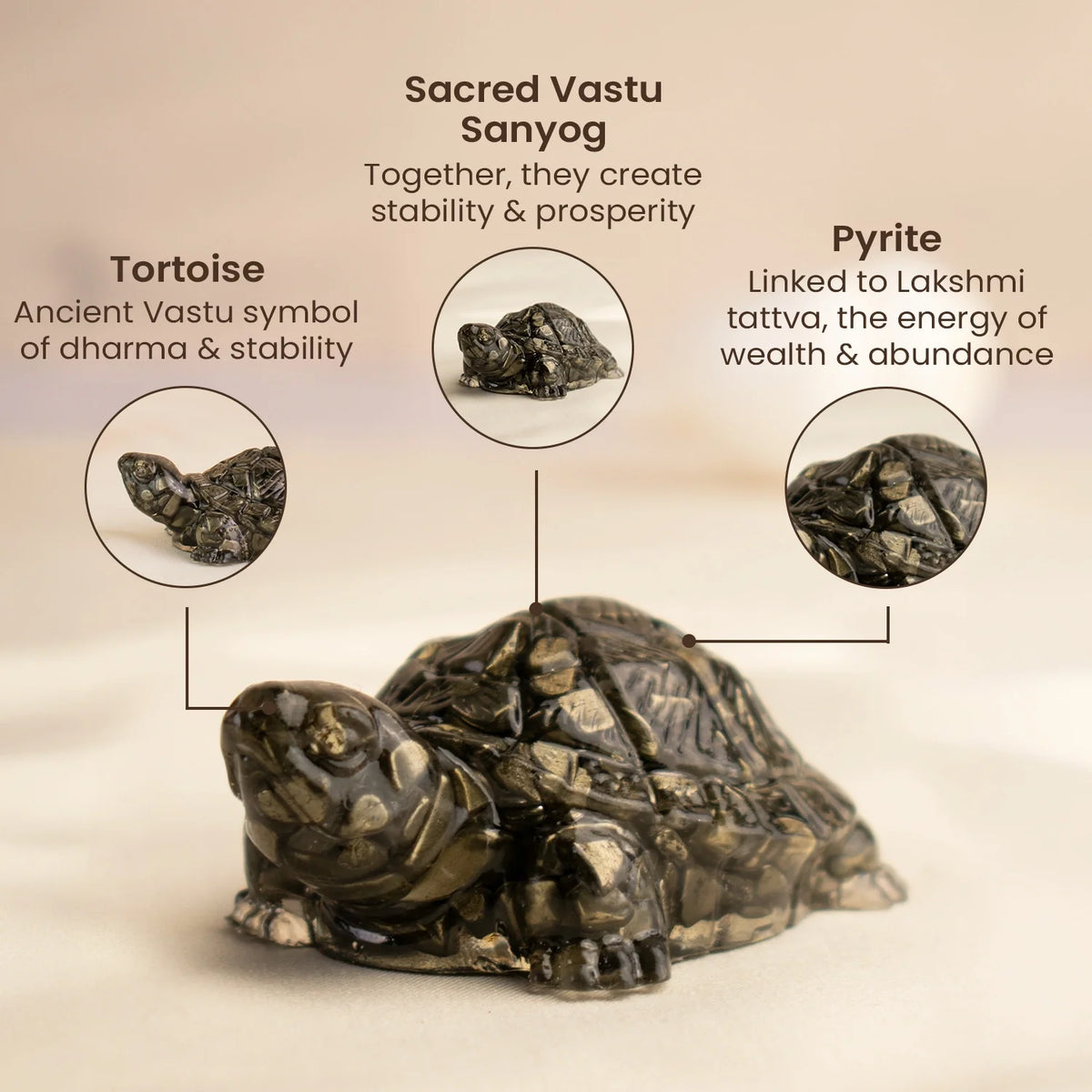 Collector's Edition Pyrite Tortoise (Kachhua) - Big Size - 8x heavier | VastuKosha by Acharya Anuj