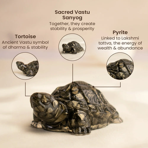 Collector's Edition Pyrite Tortoise (Kachhua) - Big Size - 8x heavier | VastuKosha by Acharya Anuj