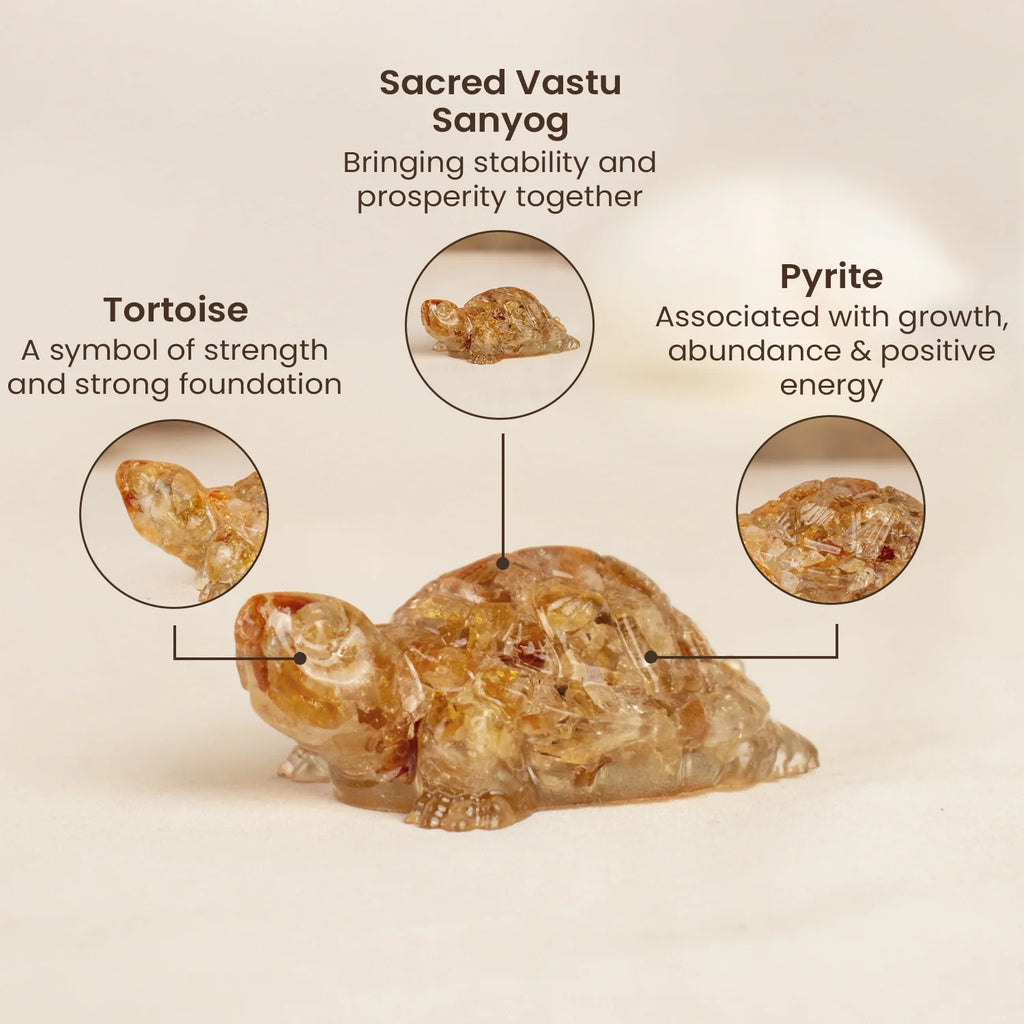 Vastu Citrine Tortoise (Kachhua) | VastuKosha by Acharya Anuj