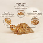 Vastu Citrine Tortoise (Kachhua) | VastuKosha by Acharya Anuj