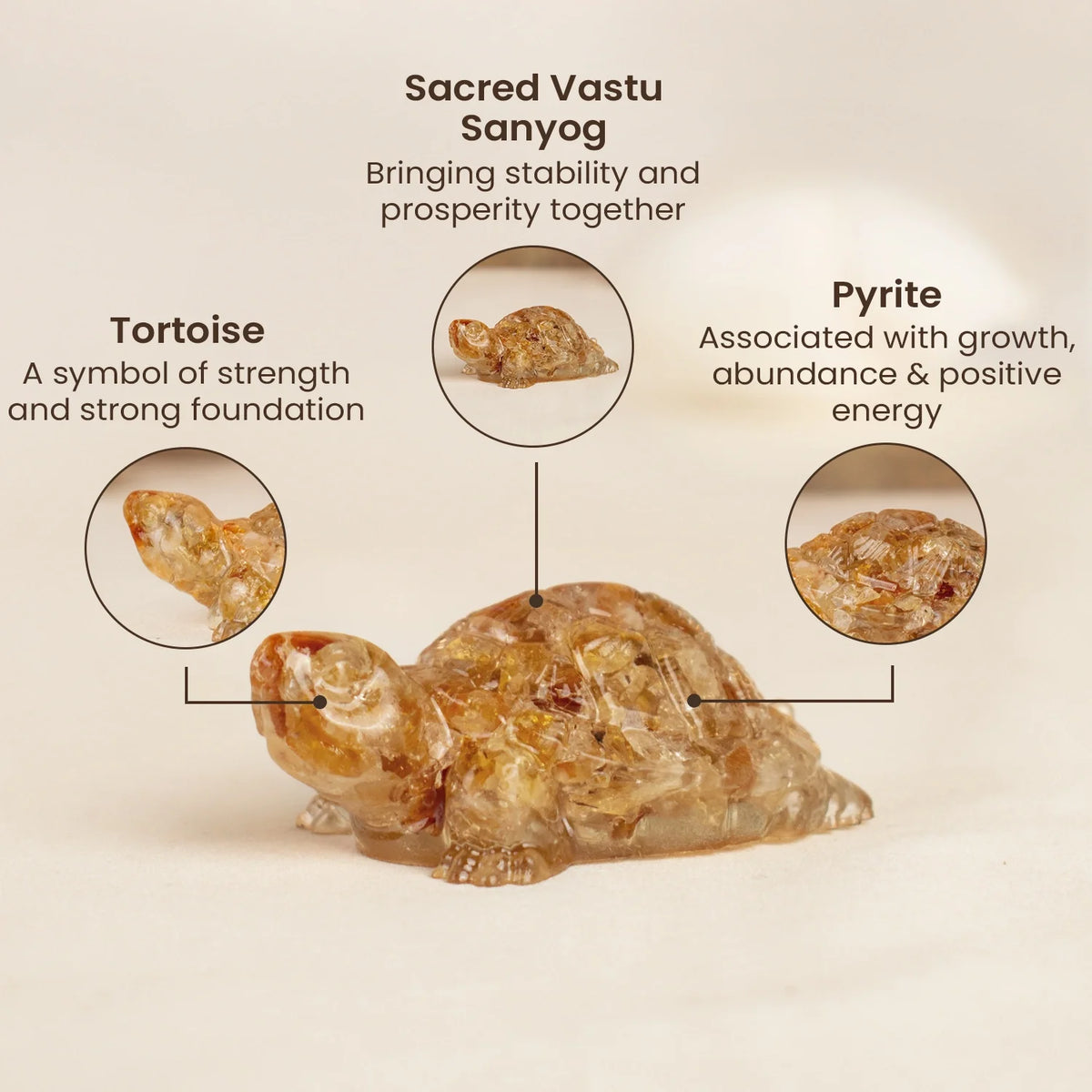 Vastu Citrine Tortoise (Kachhua) | VastuKosha by Acharya Anuj