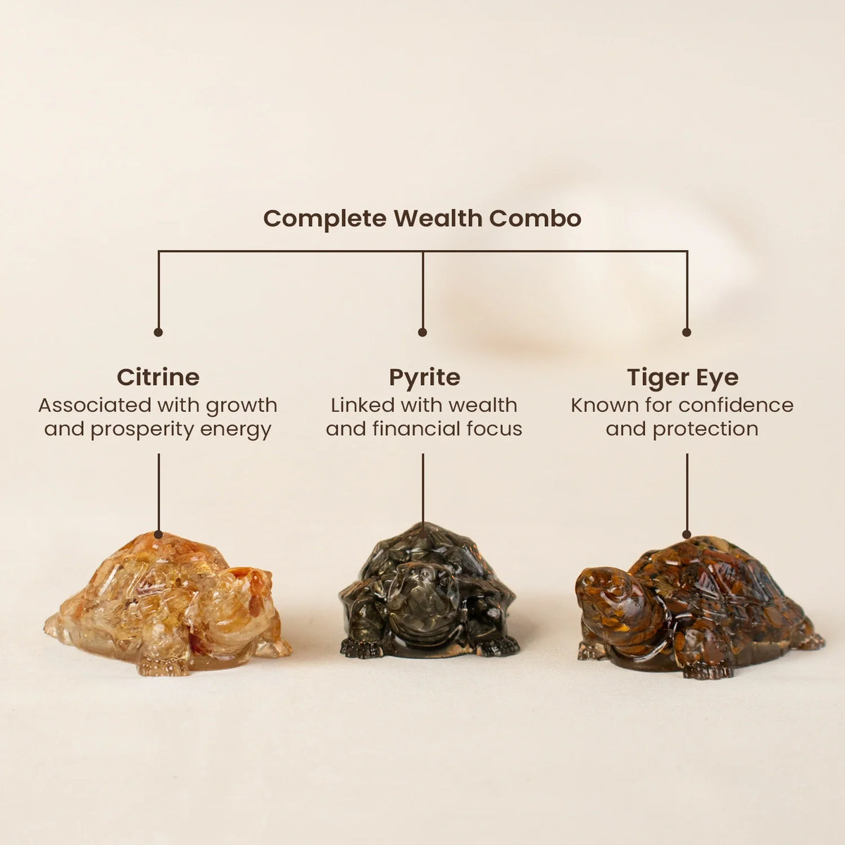 Maha Dhan Yog Tortoise Combo | VastuKosha by Acharya Anuj