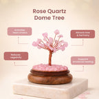 Love Attraction Dome Tree  | VastuKosha by Acharya Anuj