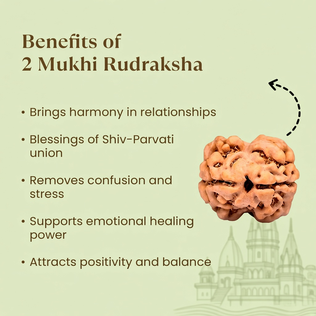Rameshwaram Siddh Nepal Origin 2 Mukhi Rudraksha - 17mm to 22mm | VastuKosha by Acharya Anuj