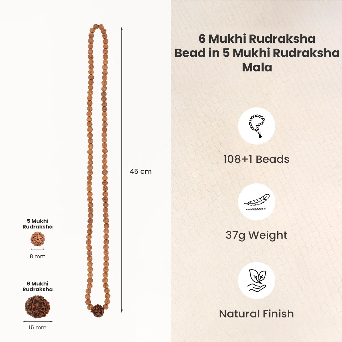 6 Mukhi Rudraksha Bead in 5 Mukhi Rudraksha Mala | VastuKosha by Acharya Anuj