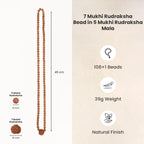 7 Mukhi Rudraksha Bead in 5 Mukhi Rudraksha Mala | VastuKosha by Acharya Anuj