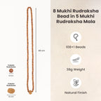 8 Mukhi Rudraksha Bead in 5 Mukhi Rudraksha Mala | VastuKosha by Acharya Anuj