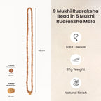 9 Mukhi  Rudraksha Bead in 5 Mukhi Rudraksha Mala | VastuKosha by Acharya Anuj