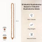 10 Mukhi Rudraksha Bead in 5 Mukhi Rudraksha Mala | VastuKosha by Acharya Anuj