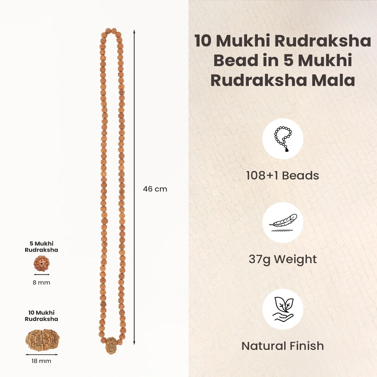 10 Mukhi Rudraksha Bead in 5 Mukhi Rudraksha Mala | VastuKosha by Acharya Anuj