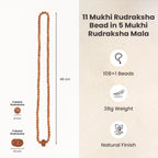 11 Mukhi Rudraksha Bead in 5 Mukhi Rudraksha Mala | VastuKosha by Acharya Anuj