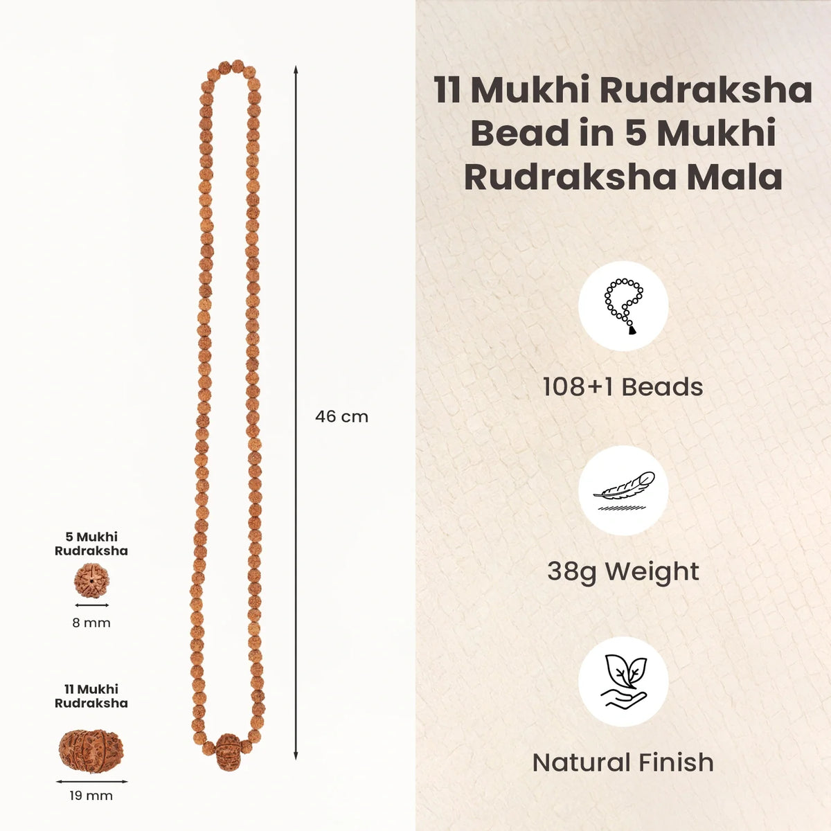 11 Mukhi Rudraksha Bead in 5 Mukhi Rudraksha Mala | VastuKosha by Acharya Anuj
