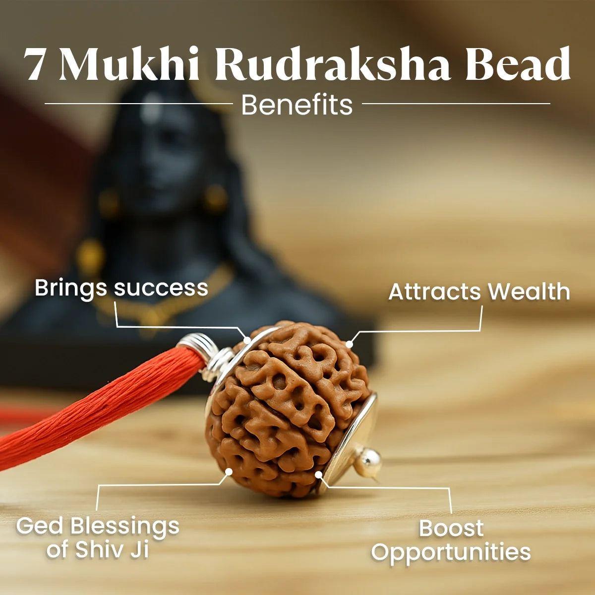 Maha Ashtlakshmi Kripa Combo with 7 Mukhi Rudraksha| Vastukosha by Acharya Anuj
