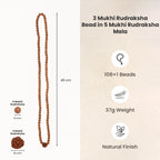 3 Mukhi Rudraksha Bead in 5 Mukhi Rudraksha Mala | VastuKosha by Acharya Anuj
