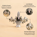 999 Silver Plated Lord Tirupati Balaji Idol | VastuKosha by Acharya Anuj