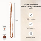 4 Mukhi Rudraksha Bead in 5 Mukhi Rudraksha Mala | VastuKosha by Acharya Anuj