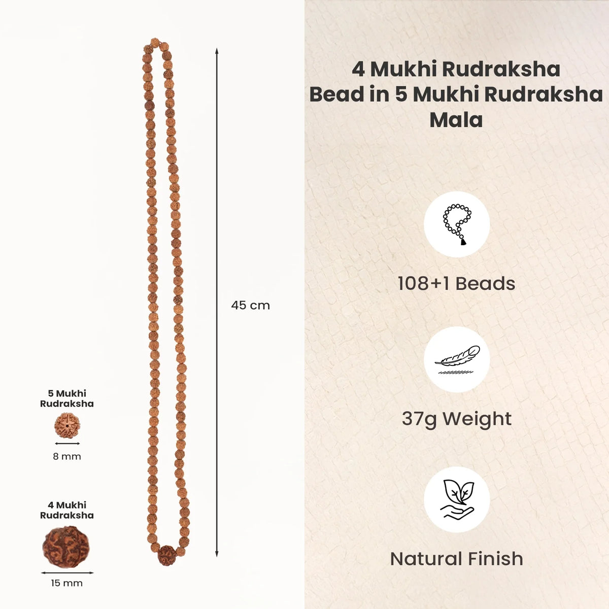 4 Mukhi Rudraksha Bead in 5 Mukhi Rudraksha Mala | VastuKosha by Acharya Anuj