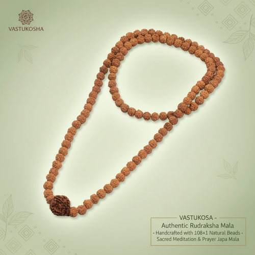 6 Mukhi Rudraksha Bead in 5 Mukhi Rudraksha Mala | VastuKosha by Acharya Anuj