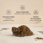 Vastu Tiger Eye Tortoise (Kachhua) | VastuKosha by Acharya Anuj