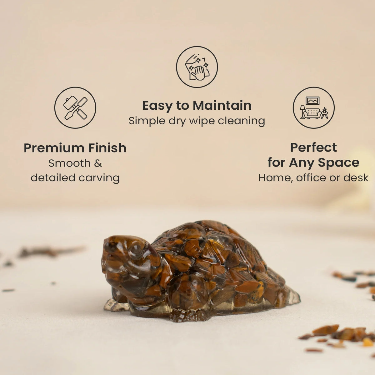 Vastu Tiger Eye Tortoise (Kachhua) | VastuKosha by Acharya Anuj