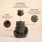 Rishikesh  Siddh Pyrite Owl | VastuKosha by Acharya Anuj