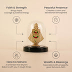 Khatu Shyam Murti with Dome | VastuKosha by Acharya Anuj