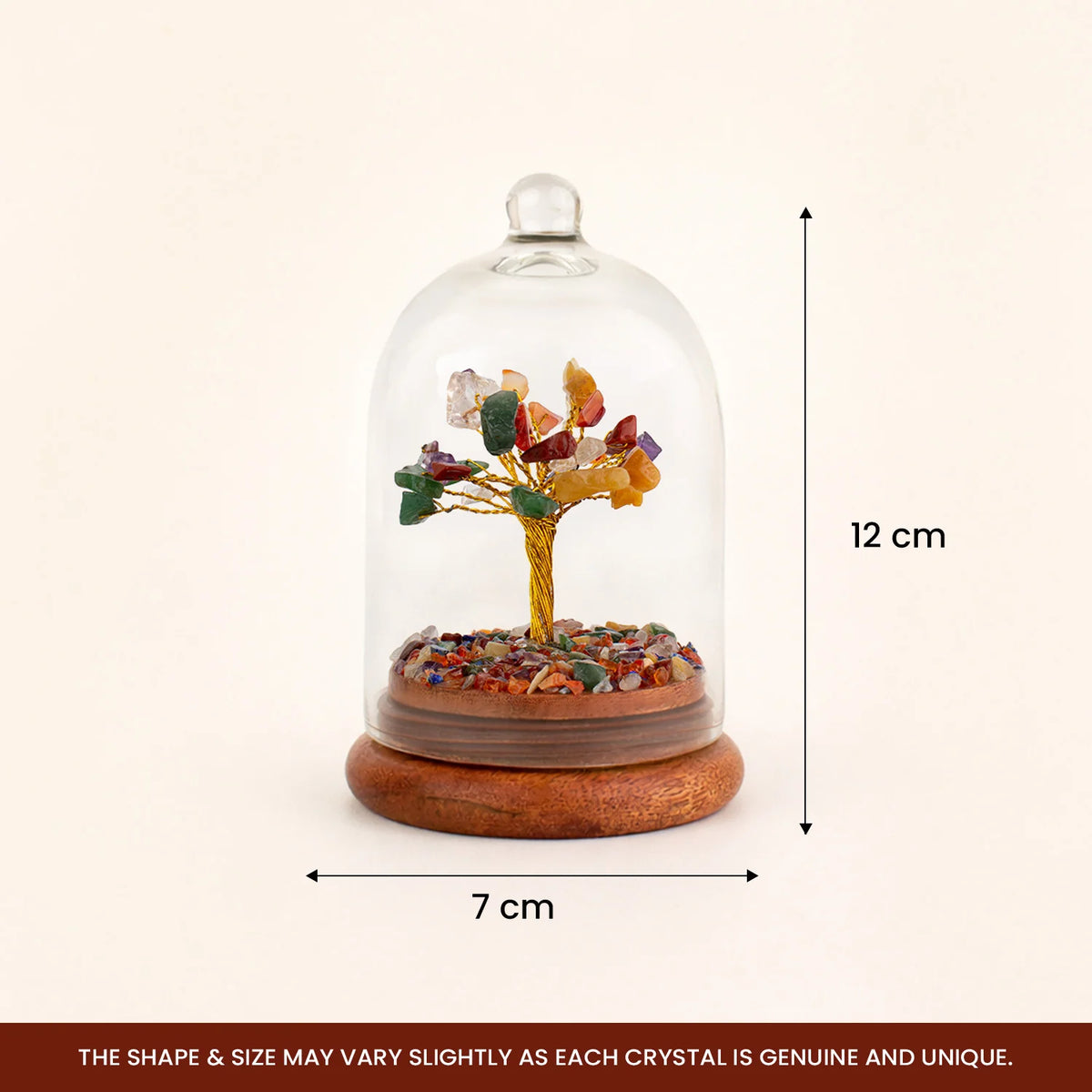 7 Chakra Dome Tree  | VastuKosha by Acharya Anuj