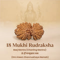 Rameshwaram Siddh Nepal Origin 18 Mukhi Rudraksha - 17mm¬†to¬†22mm | VastuKosha by Acharya Anuj