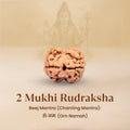 Rameshwaram Siddh Nepal Origin 2 Mukhi Rudraksha - 17mm¬†to¬†22mm | VastuKosha by Acharya Anuj