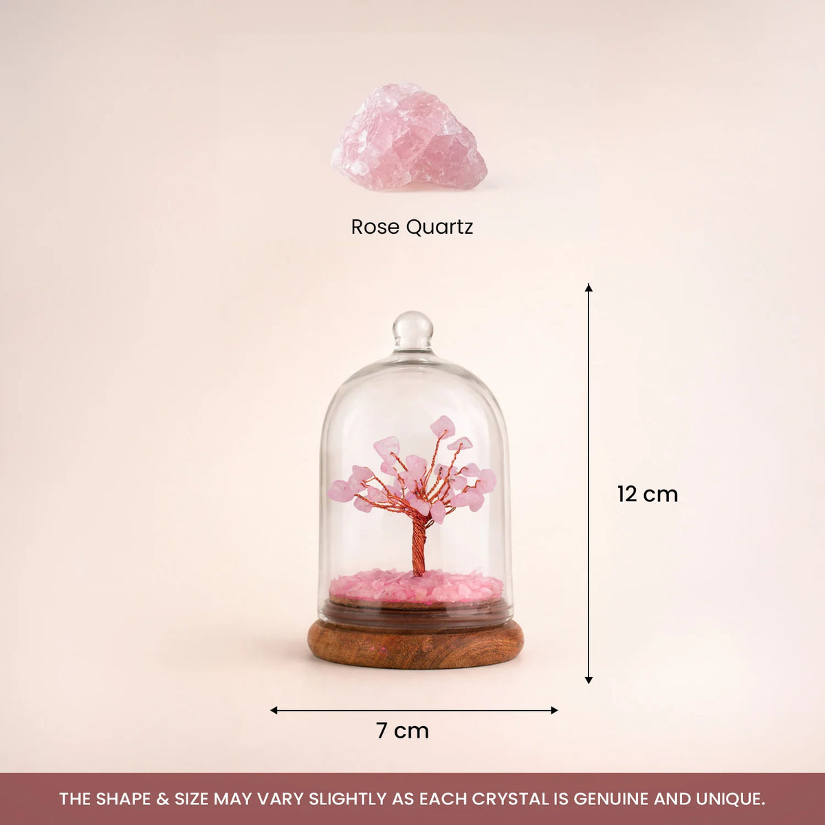 Love Attraction Dome Tree  | VastuKosha by Acharya Anuj