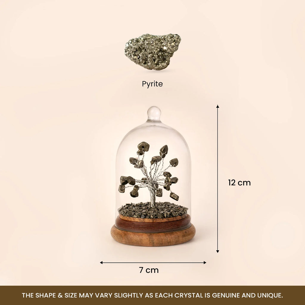 Pyrite Dome Tree | VastuKosha by Acharya Anuj