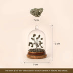 Pyrite Dome Tree | VastuKosha by Acharya Anuj