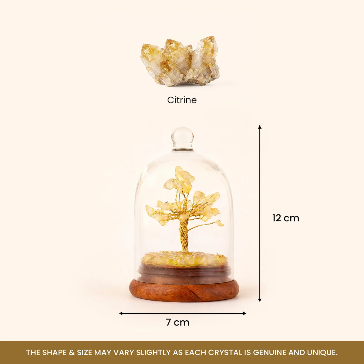 Citrine Dome Tree  | VastuKosha by Acharya Anuj