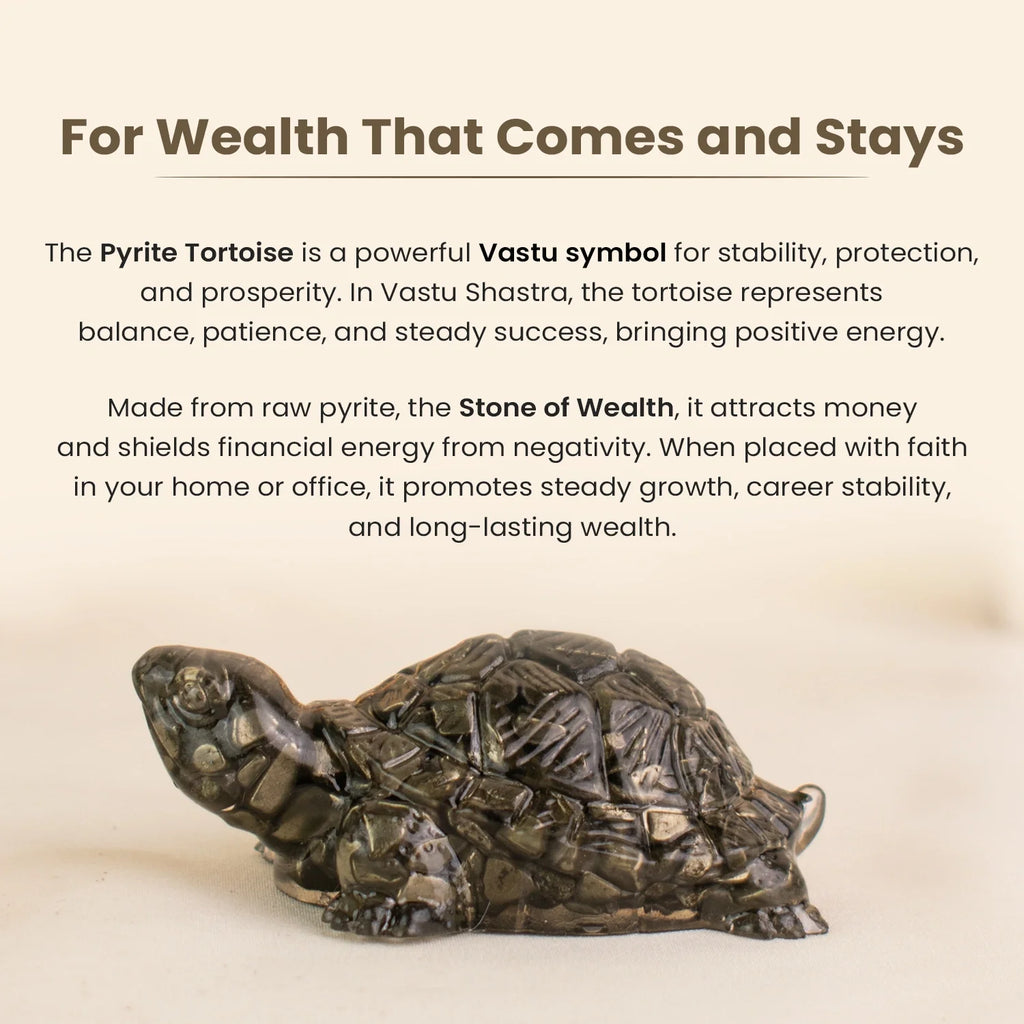 Collector's Edition Pyrite Tortoise (Kachhua) - Big Size - 8x heavier | VastuKosha by Acharya Anuj