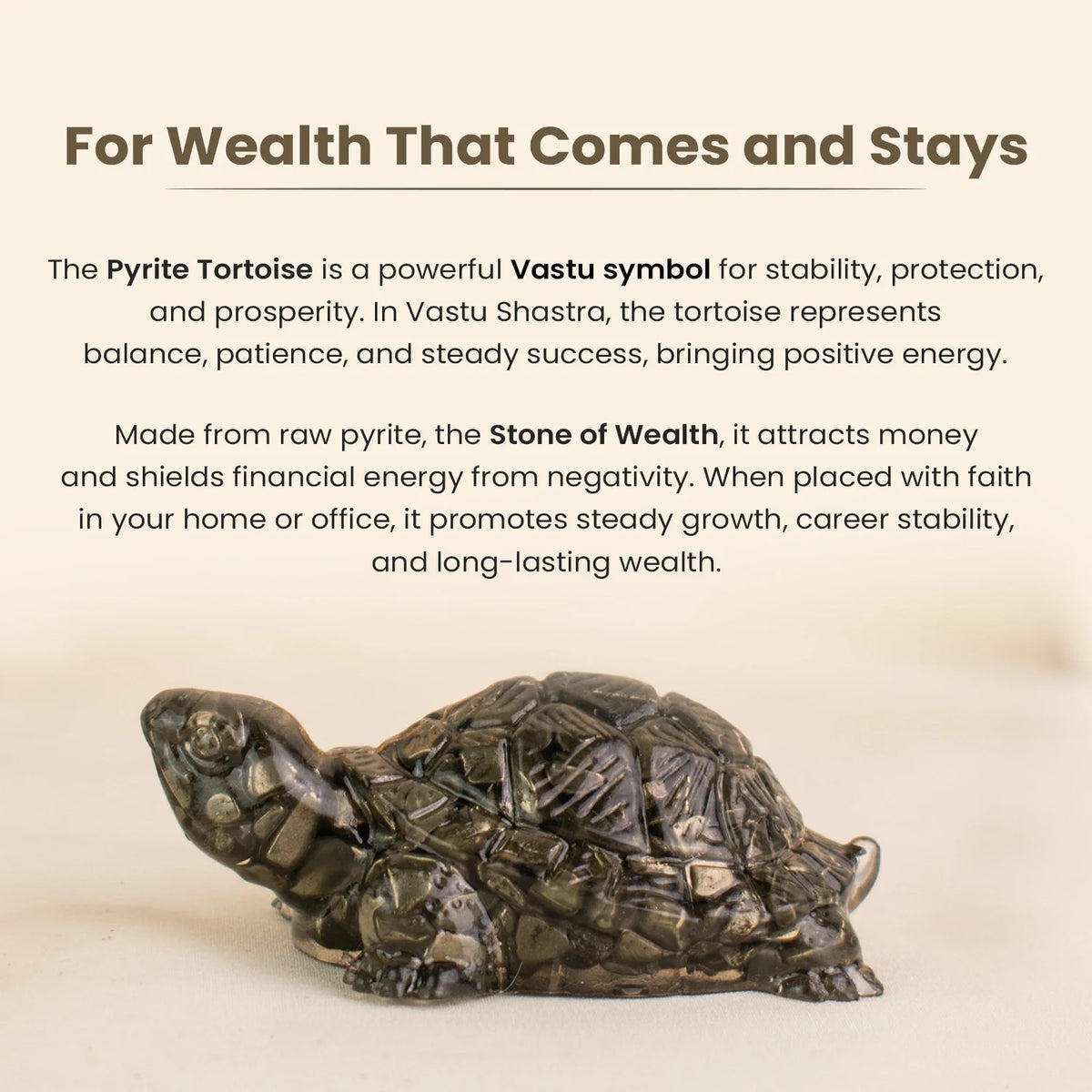 Collector's Edition Pyrite Tortoise (Kachhua) - Big Size - 8x heavier | VastuKosha by Acharya Anuj