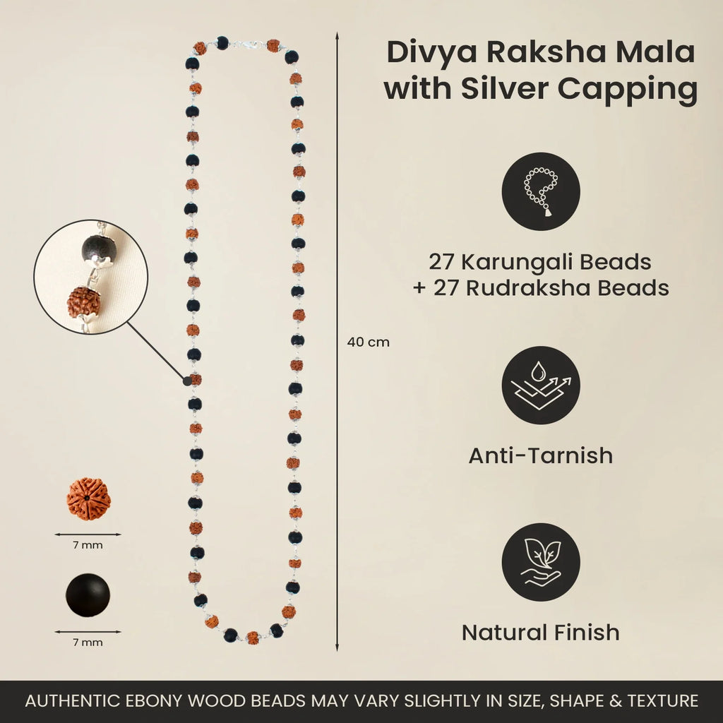 Divya Raksha Mahadev Combo | VastuKosha by Acharya Anuj