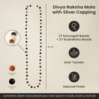 Divya Raksha Mahadev Combo | VastuKosha by Acharya Anuj