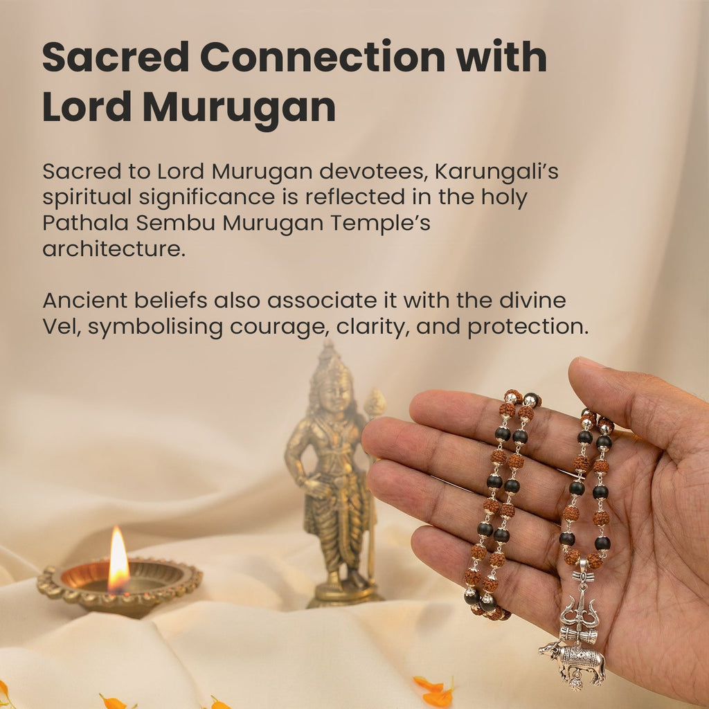 Shiv Raksha Karungali Rudraksha Mala with Trishul Nandi Pendant | VastuKosha by Acharya Anuj