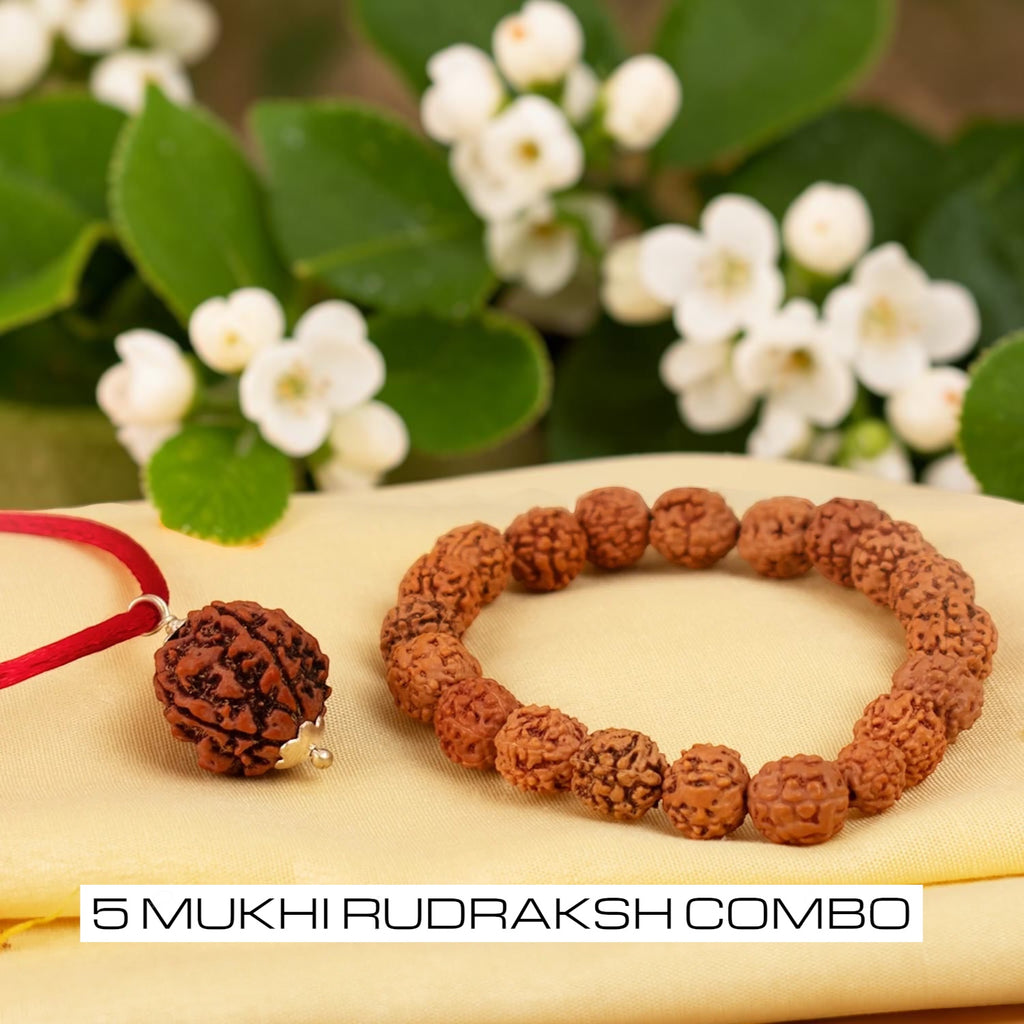 5 Mukhi Rudraksha Combo   | VastuKosha by Acharya Anuj