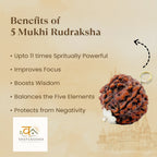 5 Mukhi Rudraksha Combo   | VastuKosha by Acharya Anuj